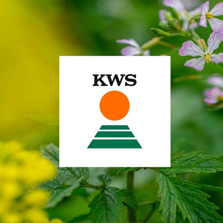 KWS logo med baggrund.