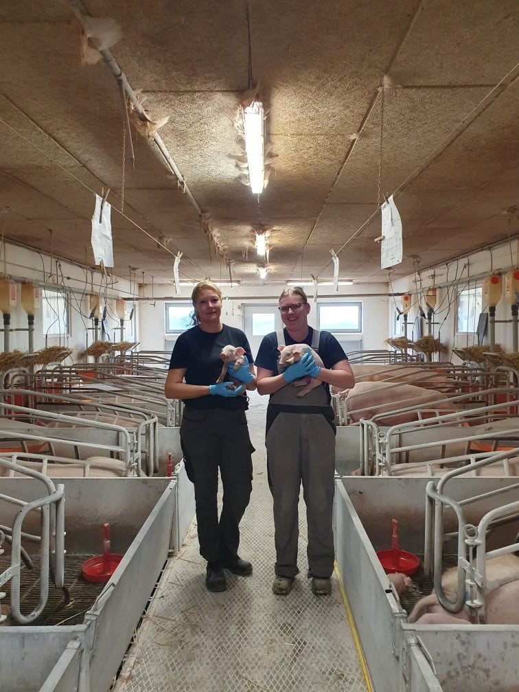 Line og arbejdsgiver