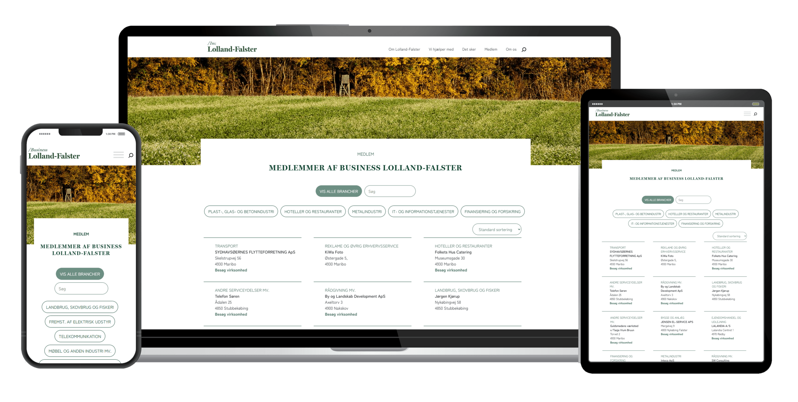 Skærmstørrelser web cases business lf